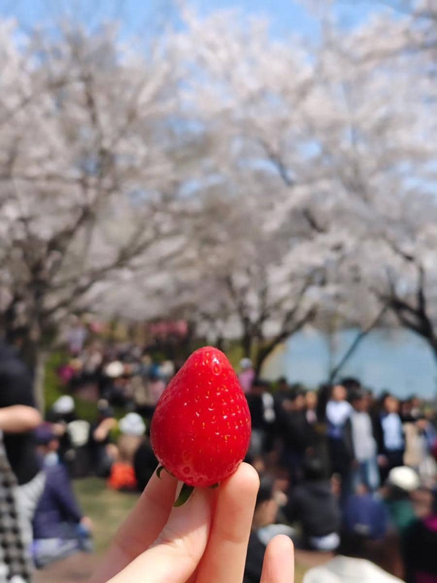 Chef Rinrin Marinka jalan-jalan di Seoul saat musim semi