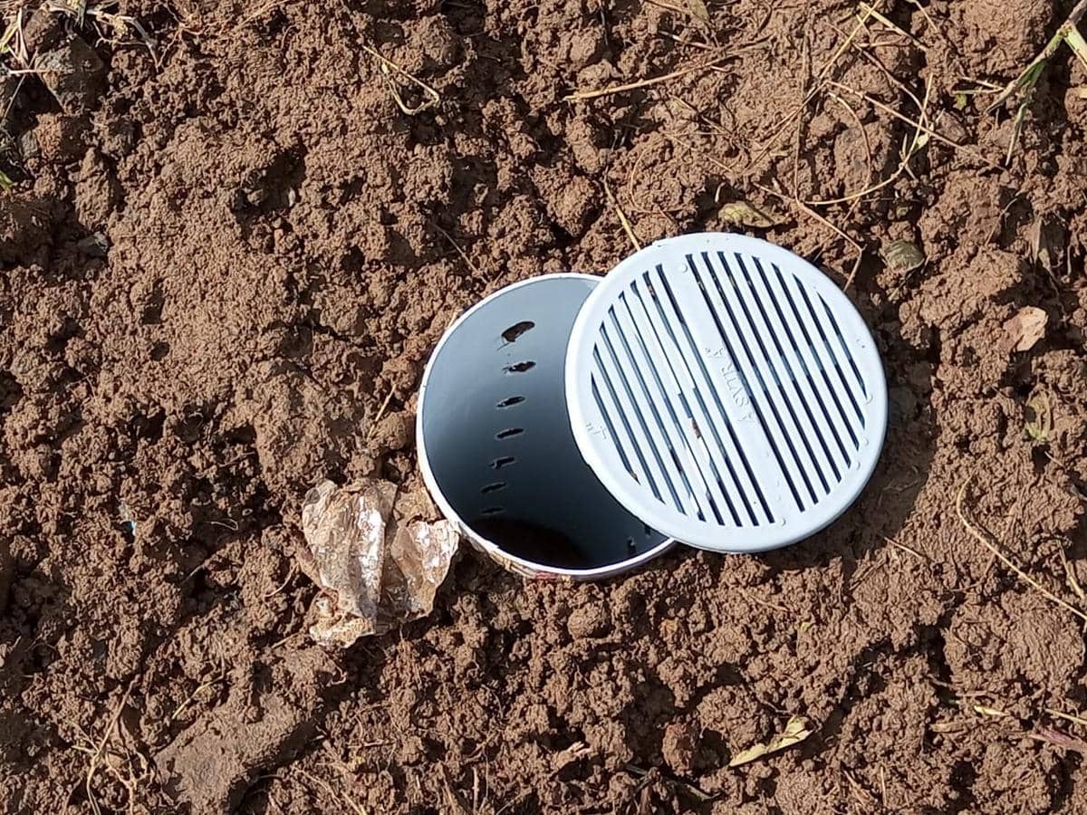 Wamen LH Ingatkan Sumber Air Tawar Sudah Kritis