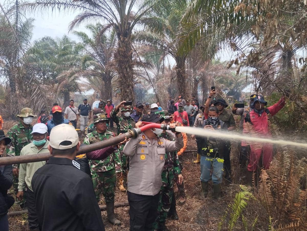 Polisi Ungkap Modus Karhutla di Riau, Bakar Ranting-Pelepah Sawit