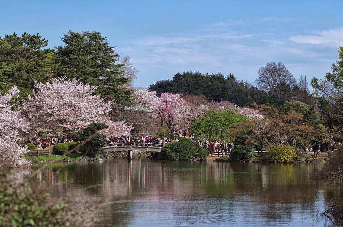 Shinjuku Gyoen Tokyo