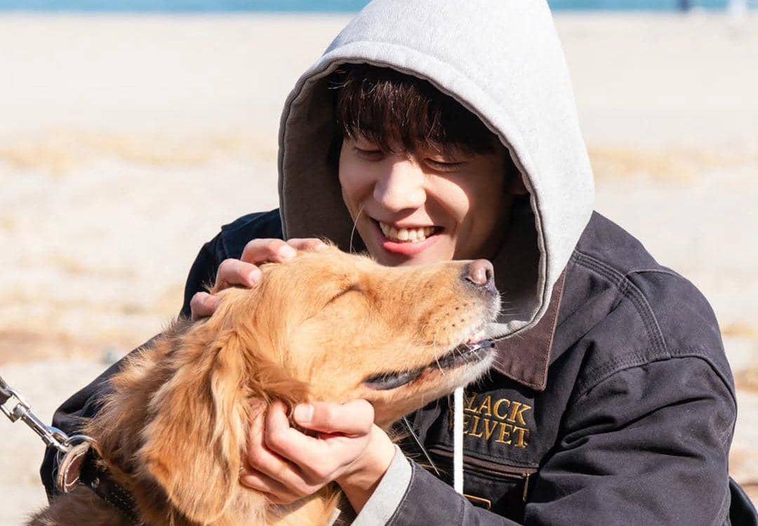 still cut drama Korea In Your Radiant Season