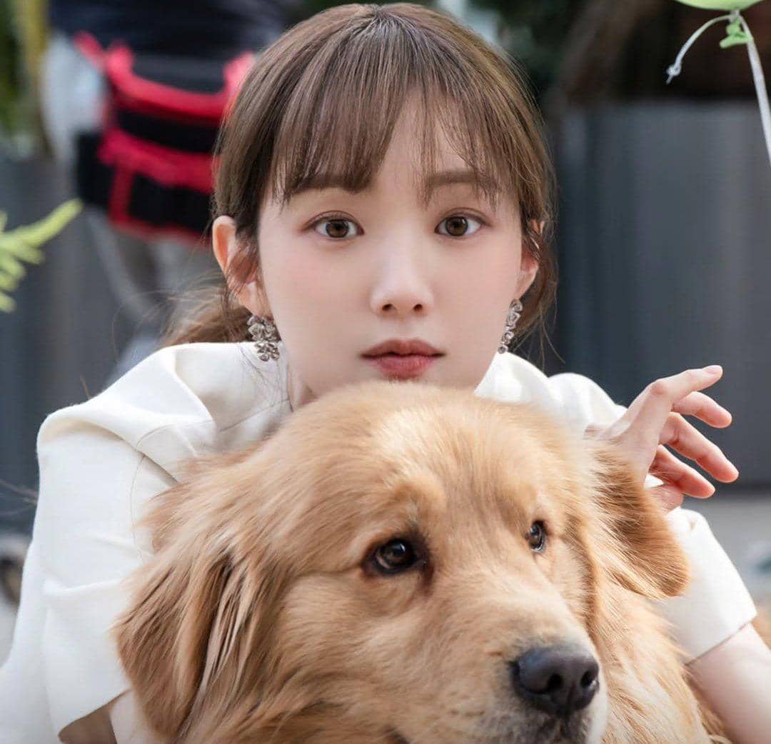 still cut drama Korea In Your Radiant Season