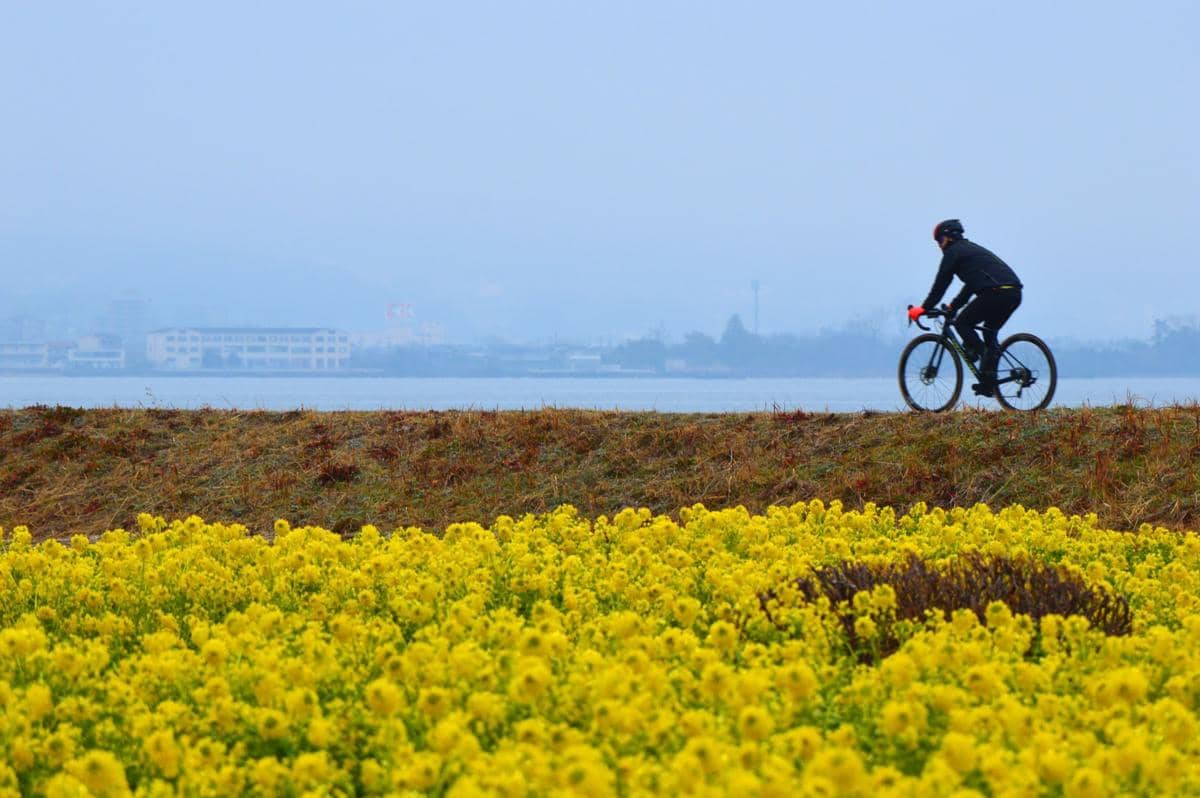 Daiichi Nagisa Park, Moriyama, Prefektur Shiga 