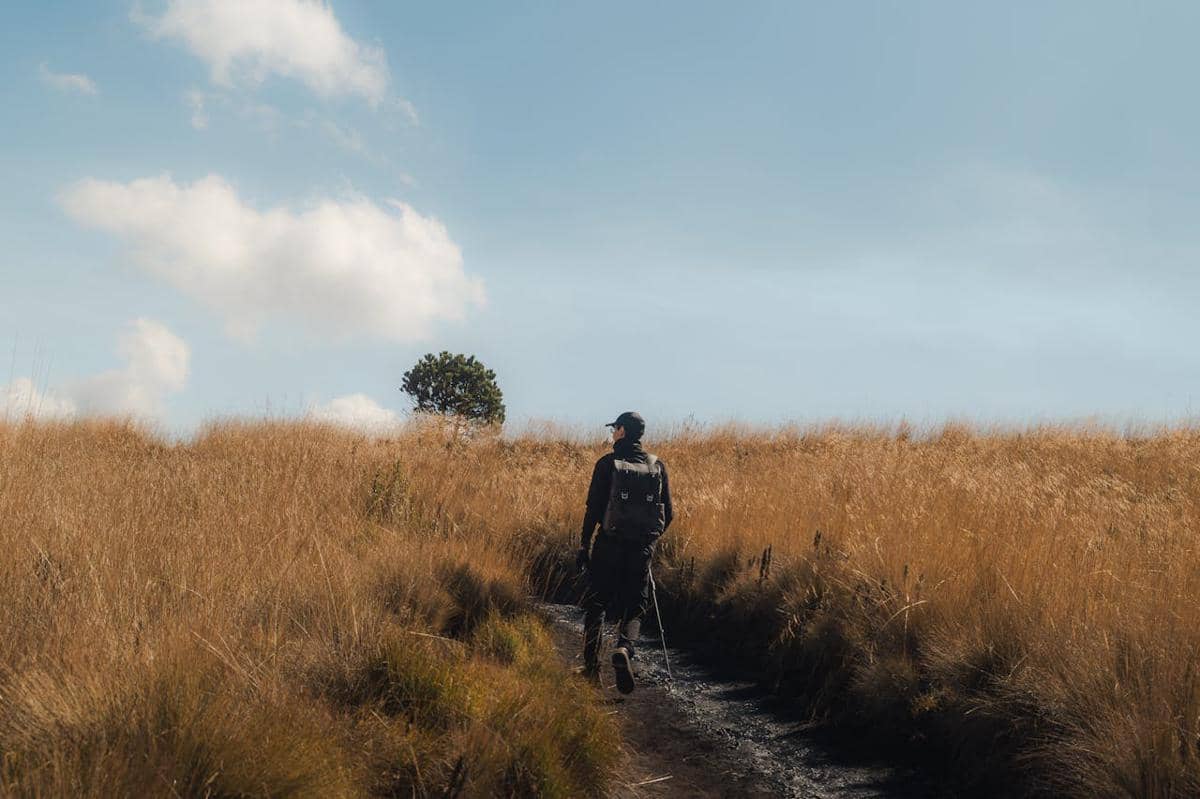 [PUISI] Perjalanan Lara