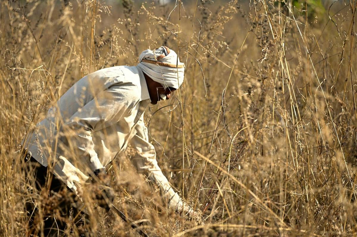 Ilustrasi kekeringan