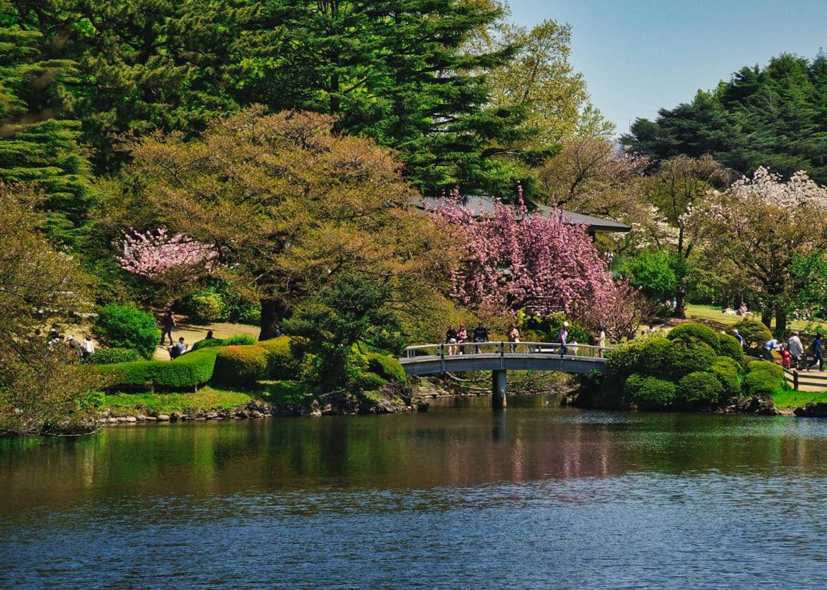 Shinjuku Gyoen Tokyo