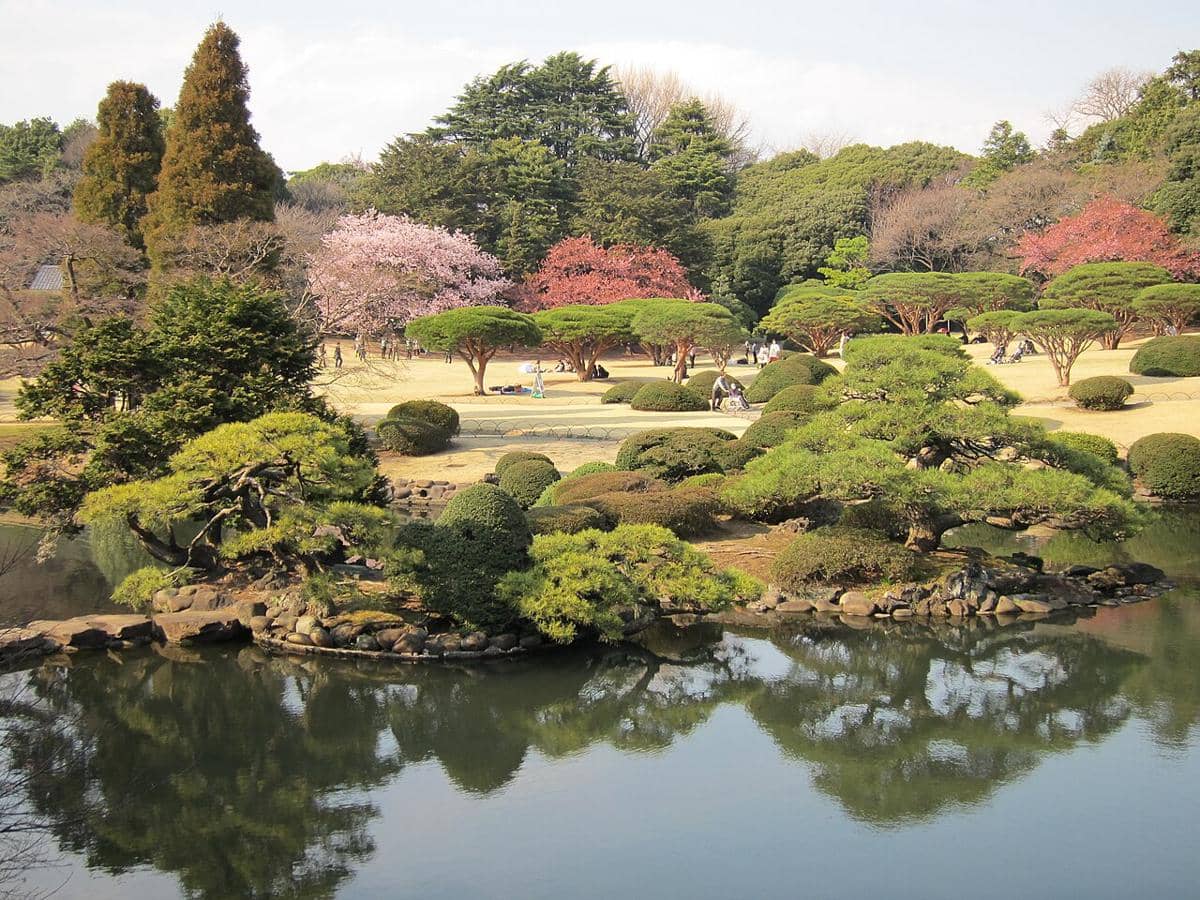Shinjuku Gyoen Tokyo