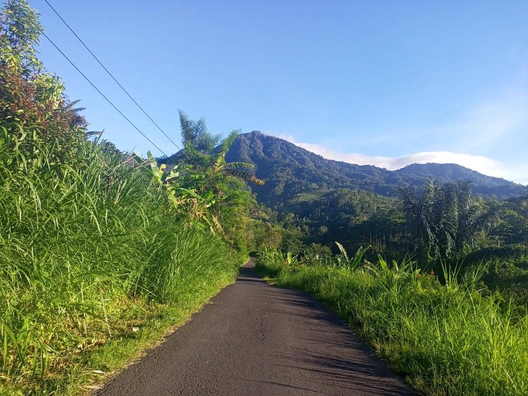 5 Wisata Menarik di Desa Pelaga Bali, Ada Air Terjun