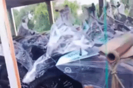 Motor listrik MBG bercap BGN.