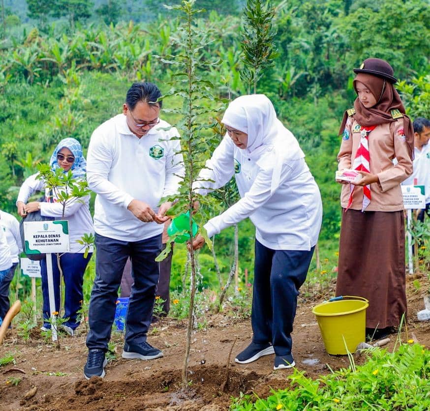 NTE KTH Jatim Tembus Rp367,95 Miliar, Sumbang 59 Persen Nasional