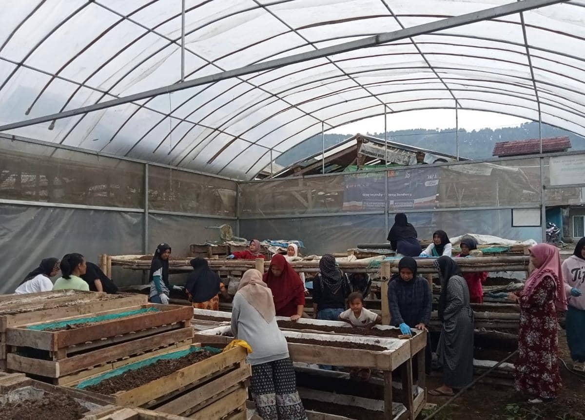 Ekosistem Ultra Mikro BRI Buat Usaha Nasabah PNM Mekaar Ini Berkembang