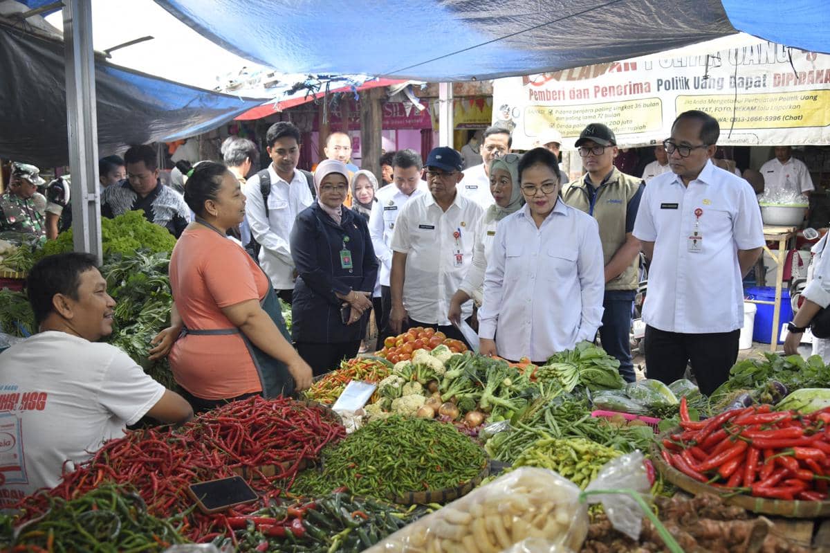 pantauan harga, pasar tradisional, agustina