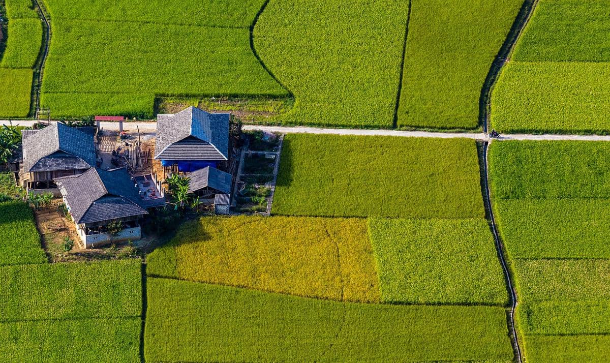 Potret area lahan pertanian