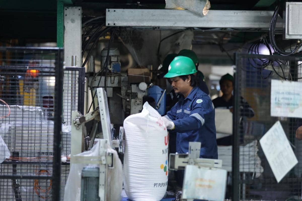 WhatsApp Image 2026-04-06 at 11.20.22.jpeg