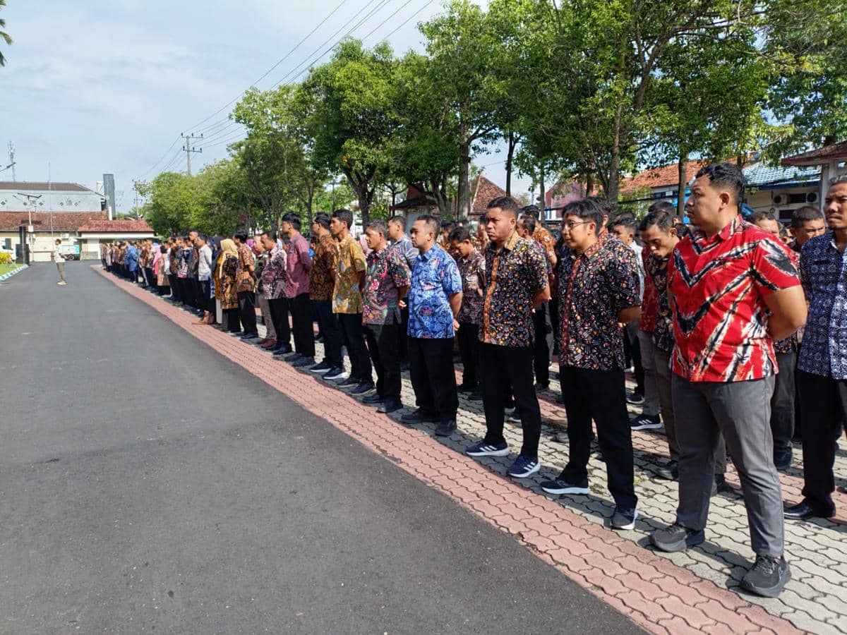 WhatsApp Image 2026-03-30 at 17.12.31 (1).jpeg