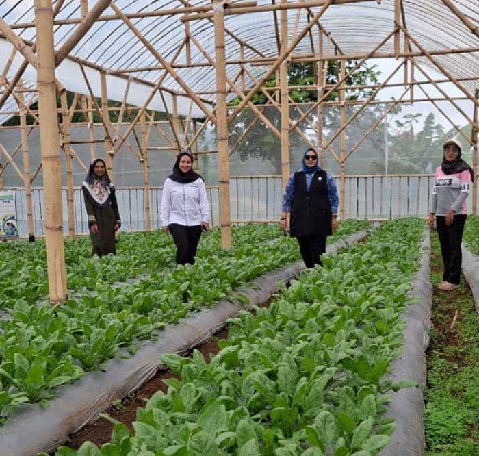 WhatsApp Image 2026-04-06 at 1.53.31 PM2.jpeg