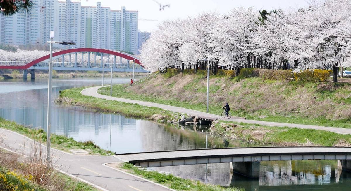 5 Cara Memilih Penginapan saat Musim Semi di Korsel, Hemat Budget!