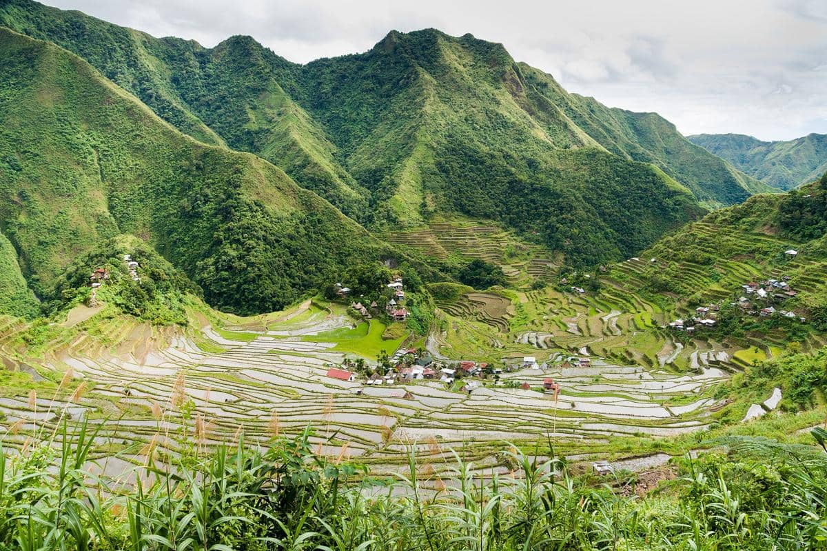Banaue Rice Terraces