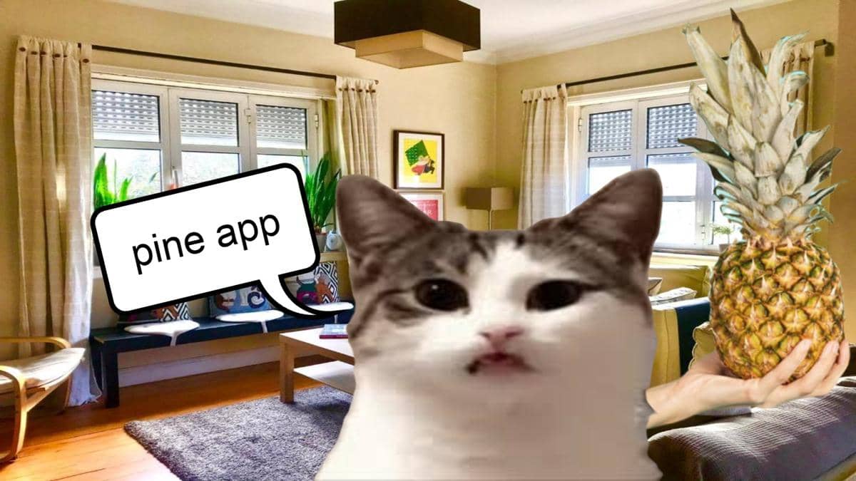 meme kucing tentang buah