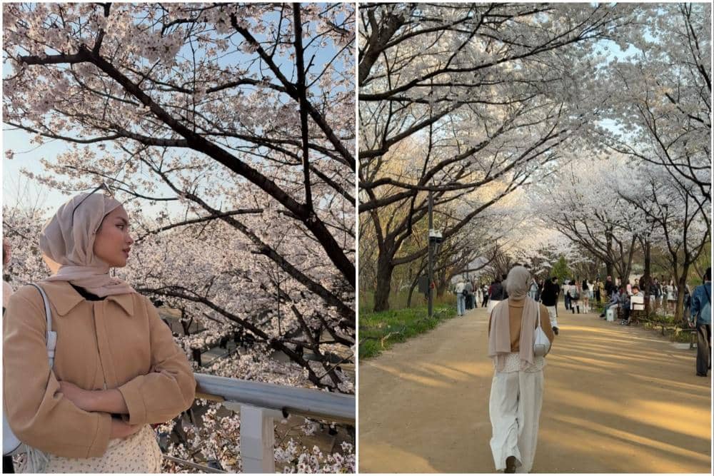 10 Potret Xaviera Putri Menikmati Sakura di Seoul, Nostalgia!