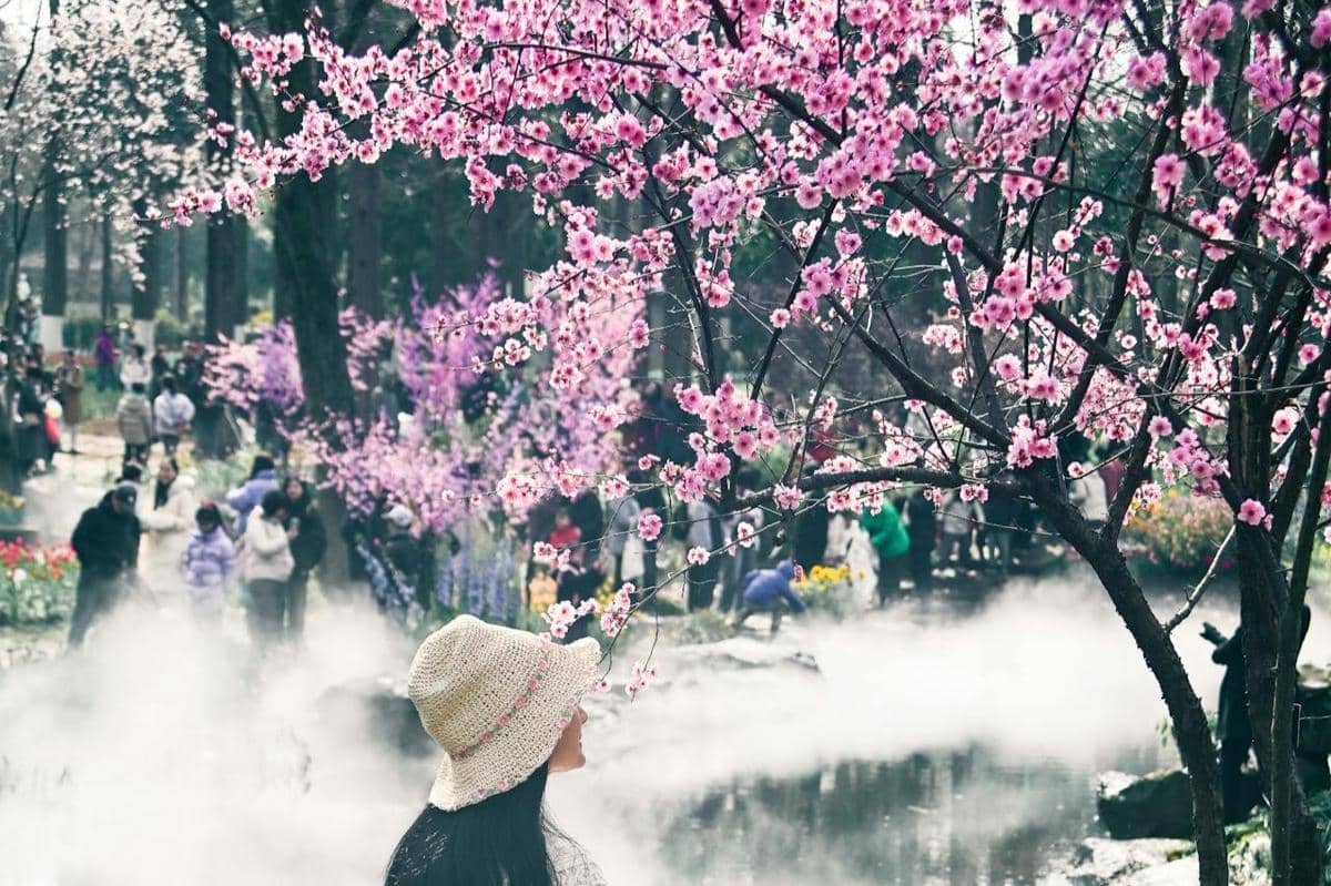 Bak Negeri Dongeng, Ini 5 Spot Sakura Paling Estetik di China Tahun 2026