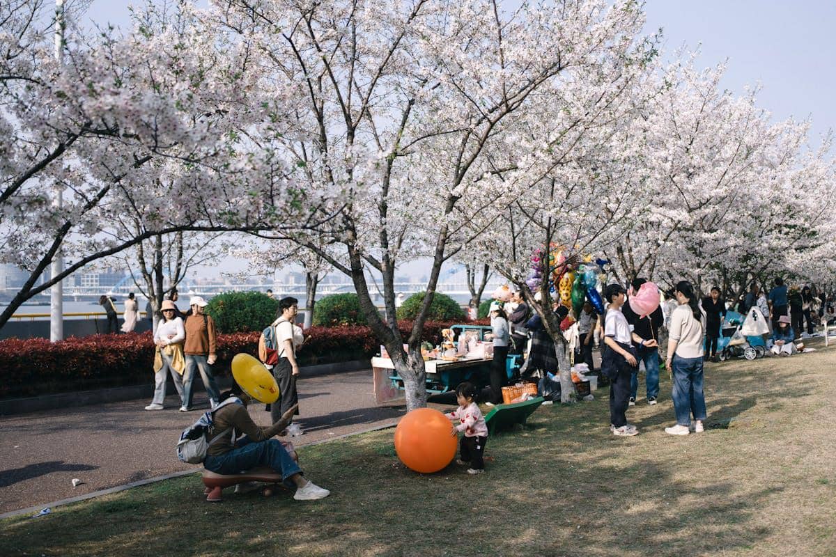 Festival Luoyang Peony China: Jadwal, Lokasi, dan Tipsnya