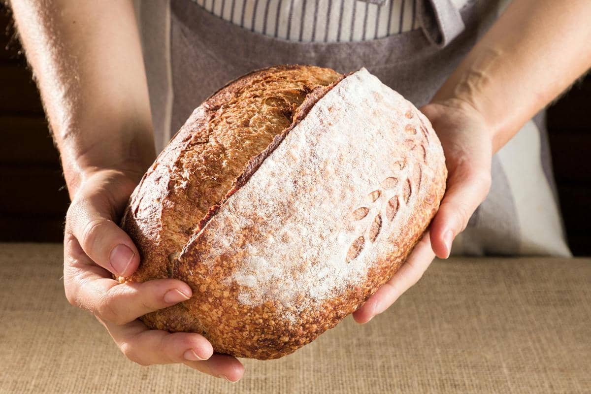 ilustrasi membuat sourdough