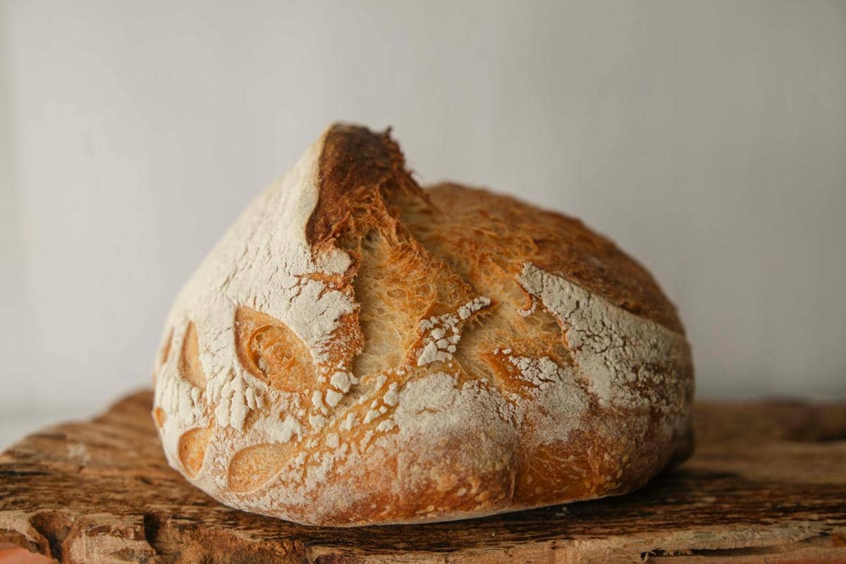 ilustrasi sajian sourdough