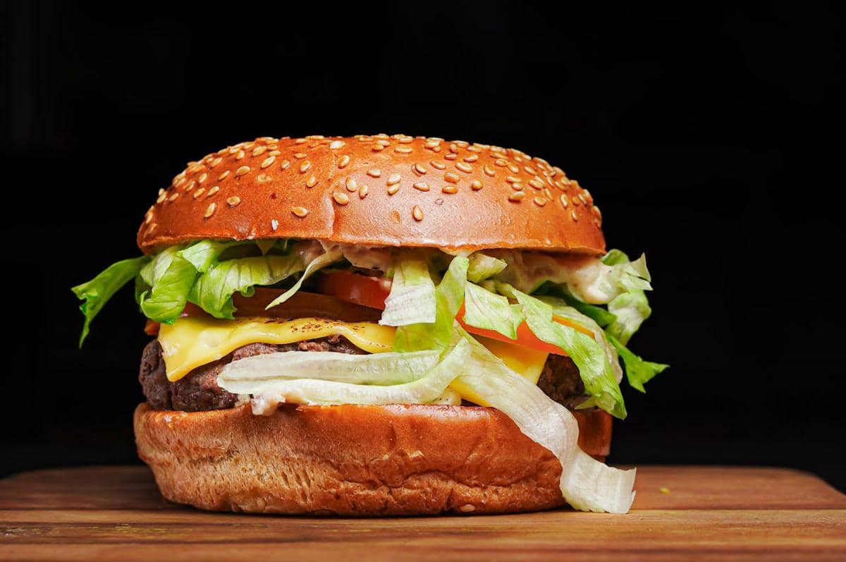 ilustrasi burger