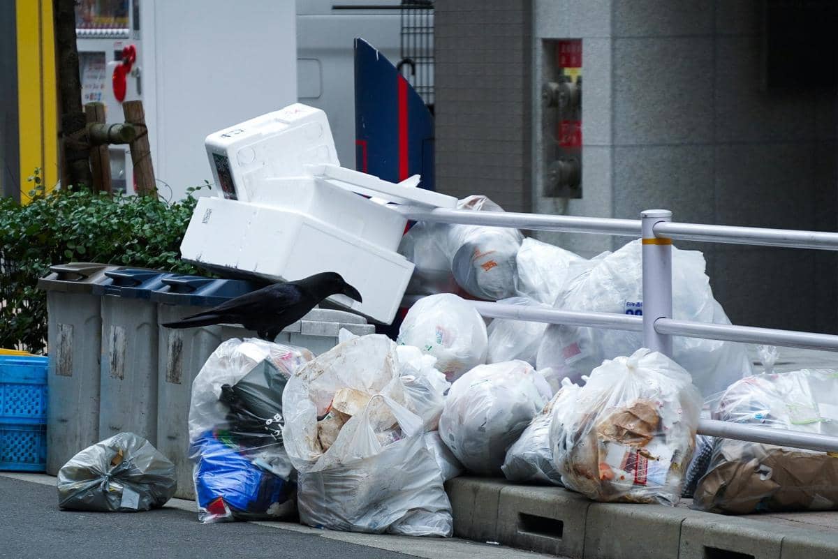 Krisis Energi Timur Tengah Picu Panic Buying Kantong Sampah di Korsel