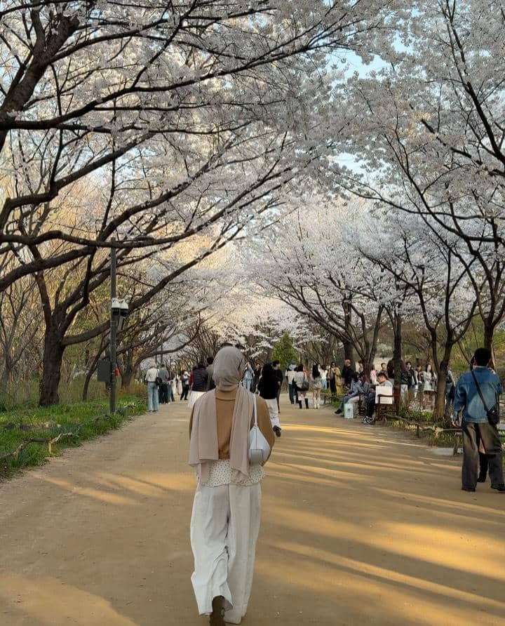 Xaviera Putri menikmati sakura di Seoul