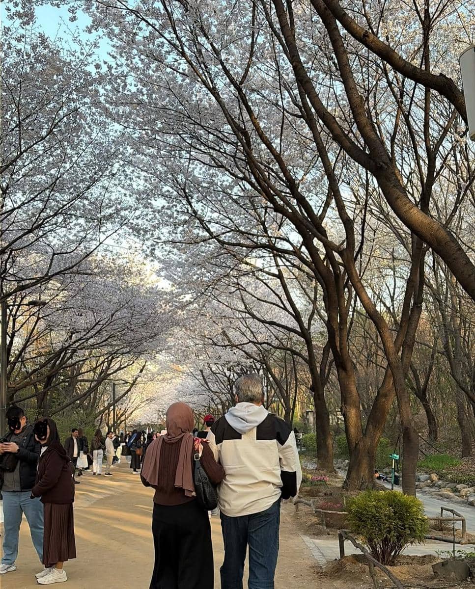 Xaviera Putri menikmati sakura di Seoul