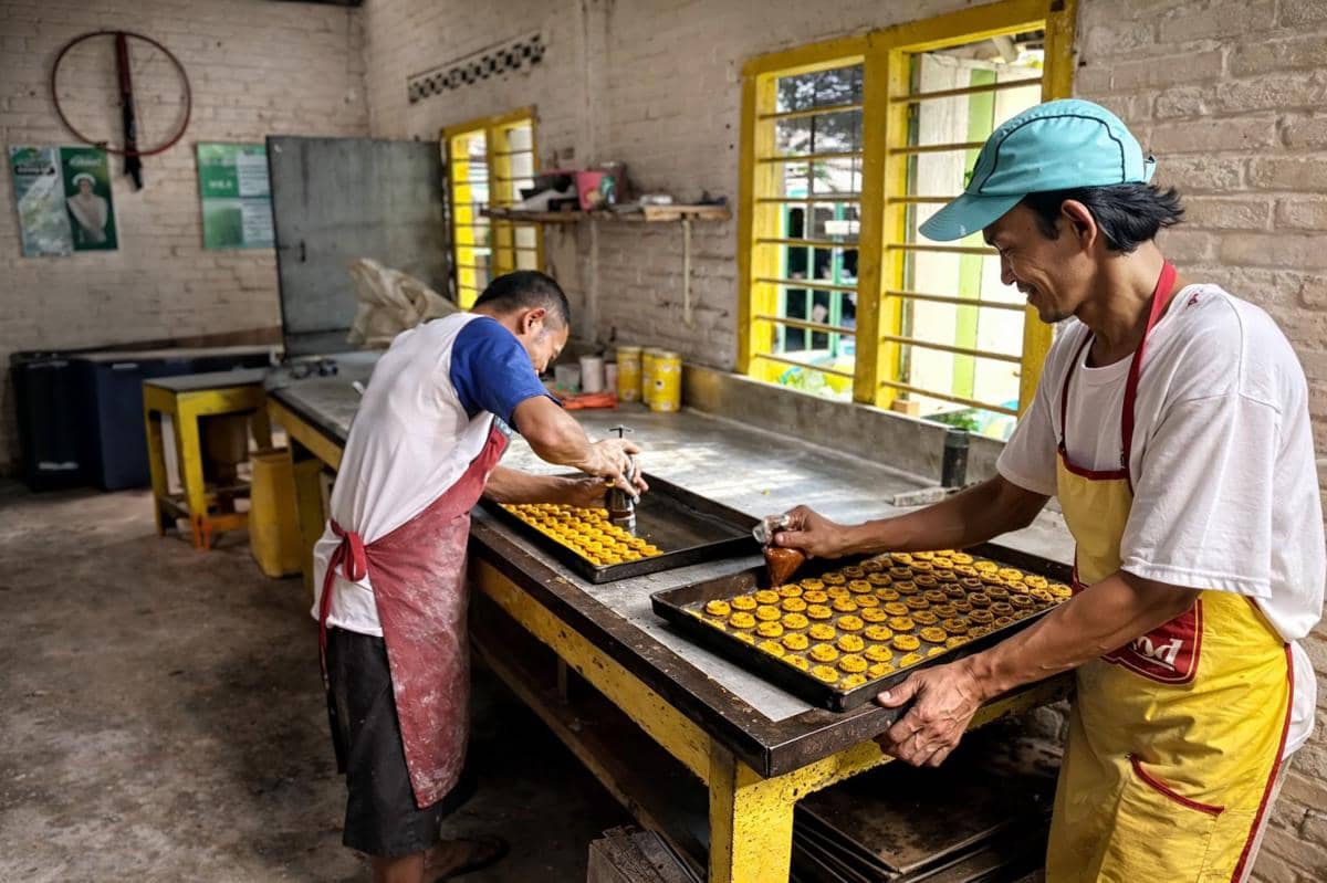 WhatsApp Image 2026-04-07 at 10.30.19 AM (1).jpeg