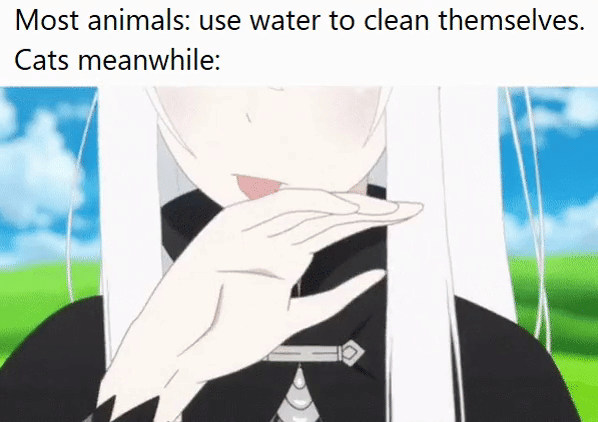 8 Meme Anime tentang Lidah, kok Malah Ngejek?