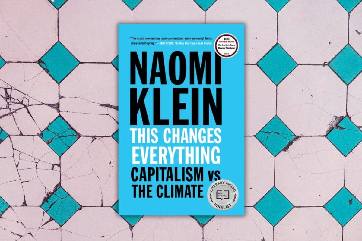 This Changes Everything karya Naomi Klein