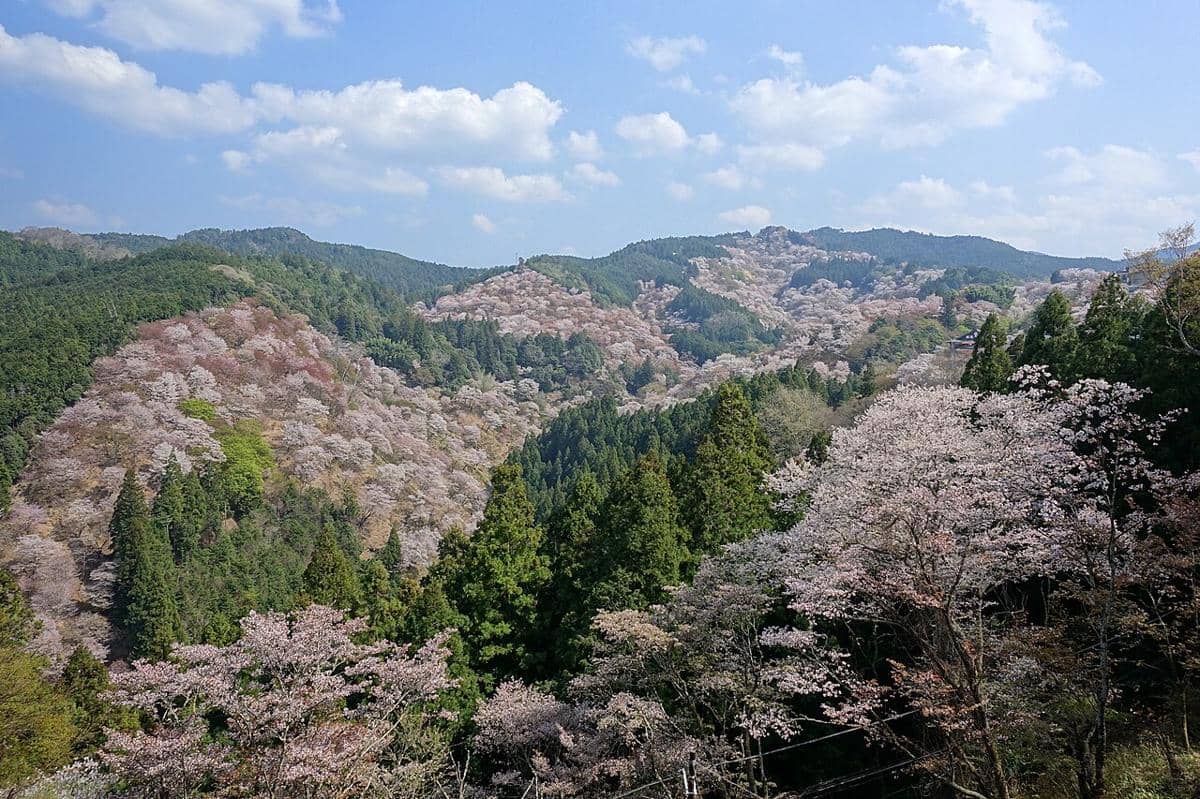 Gunung Yoshino saat musim semi, Kota Yoshino, Prefektur Nara