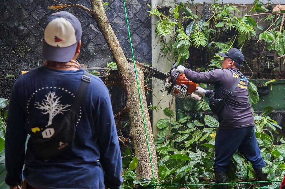 WhatsApp Image 2026-04-08 at 1.40.59 PM.jpeg