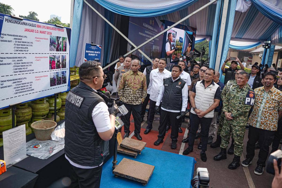 WhatsApp Image 2026-04-08 at 18.15.28.jpeg