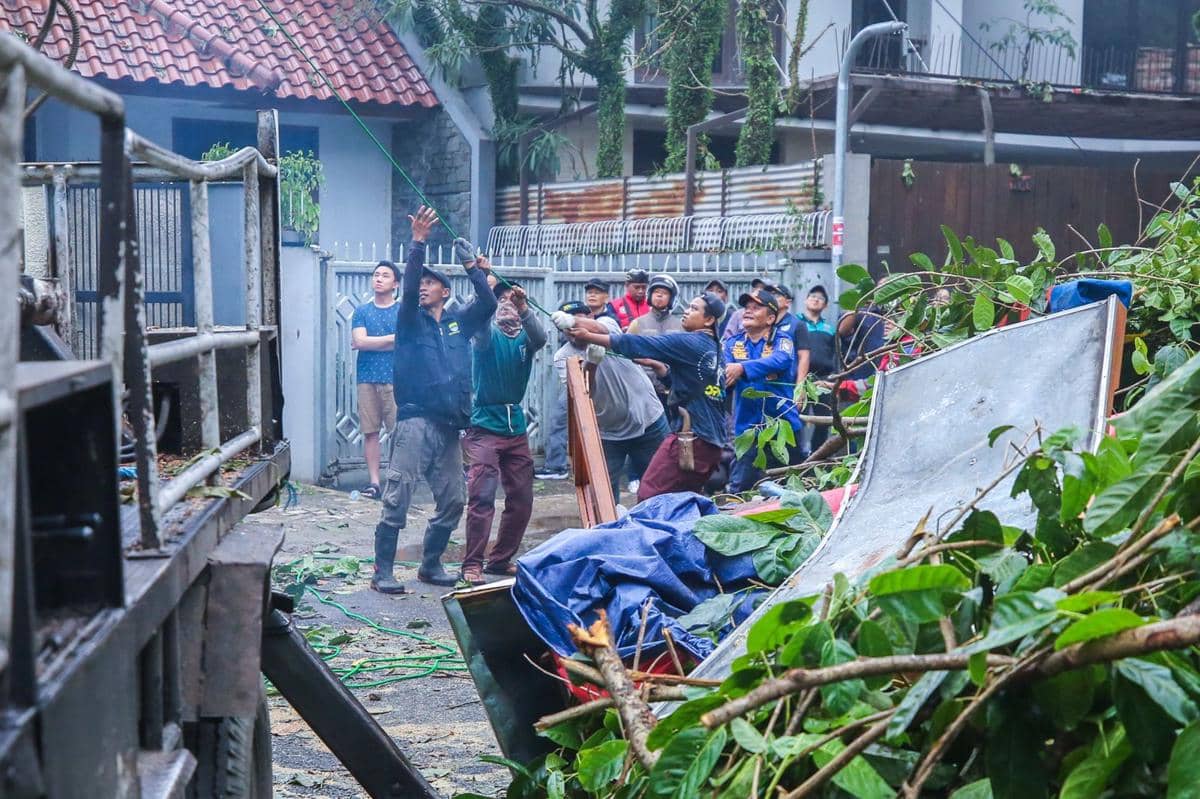 Pemkot Bandung Sisir Pohon Rawan Tumbang, Antisipasi Cuaca Ekstrem