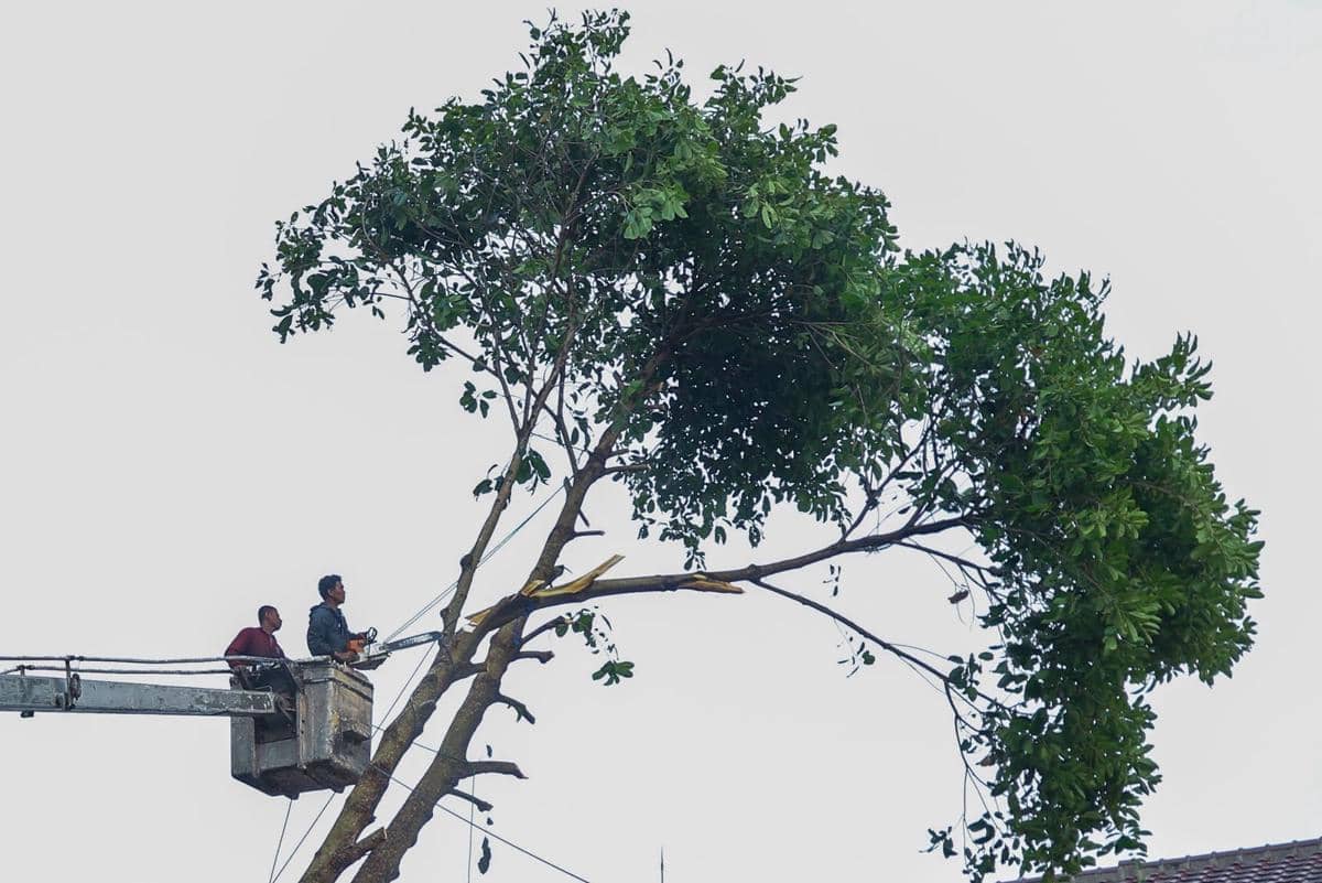 WhatsApp Image 2026-04-08 at 1.40.58 PM.jpeg