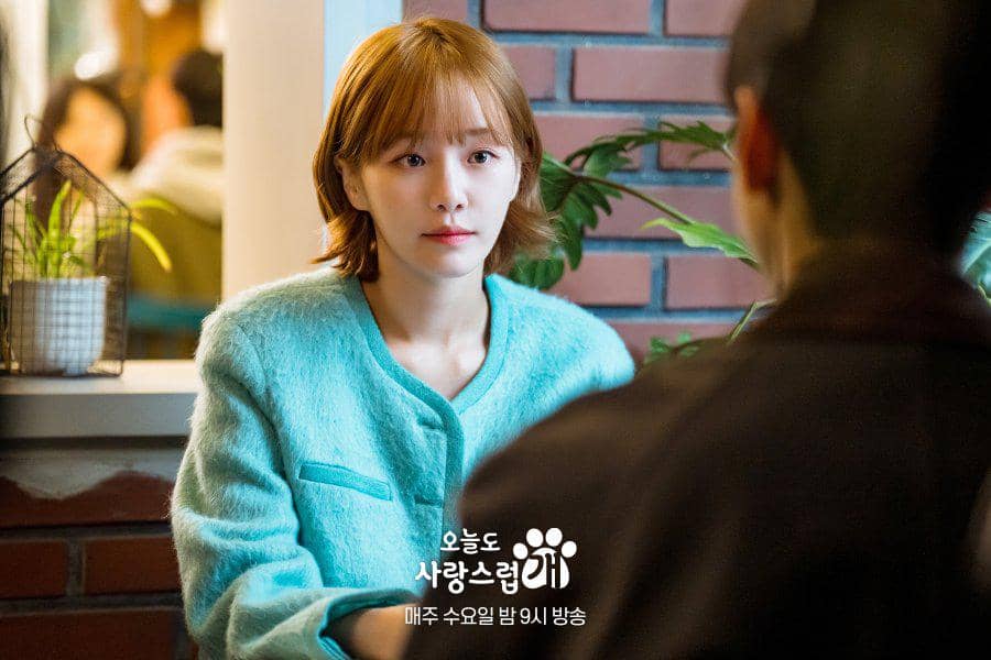 Still cut A Good Day to Be a Dog