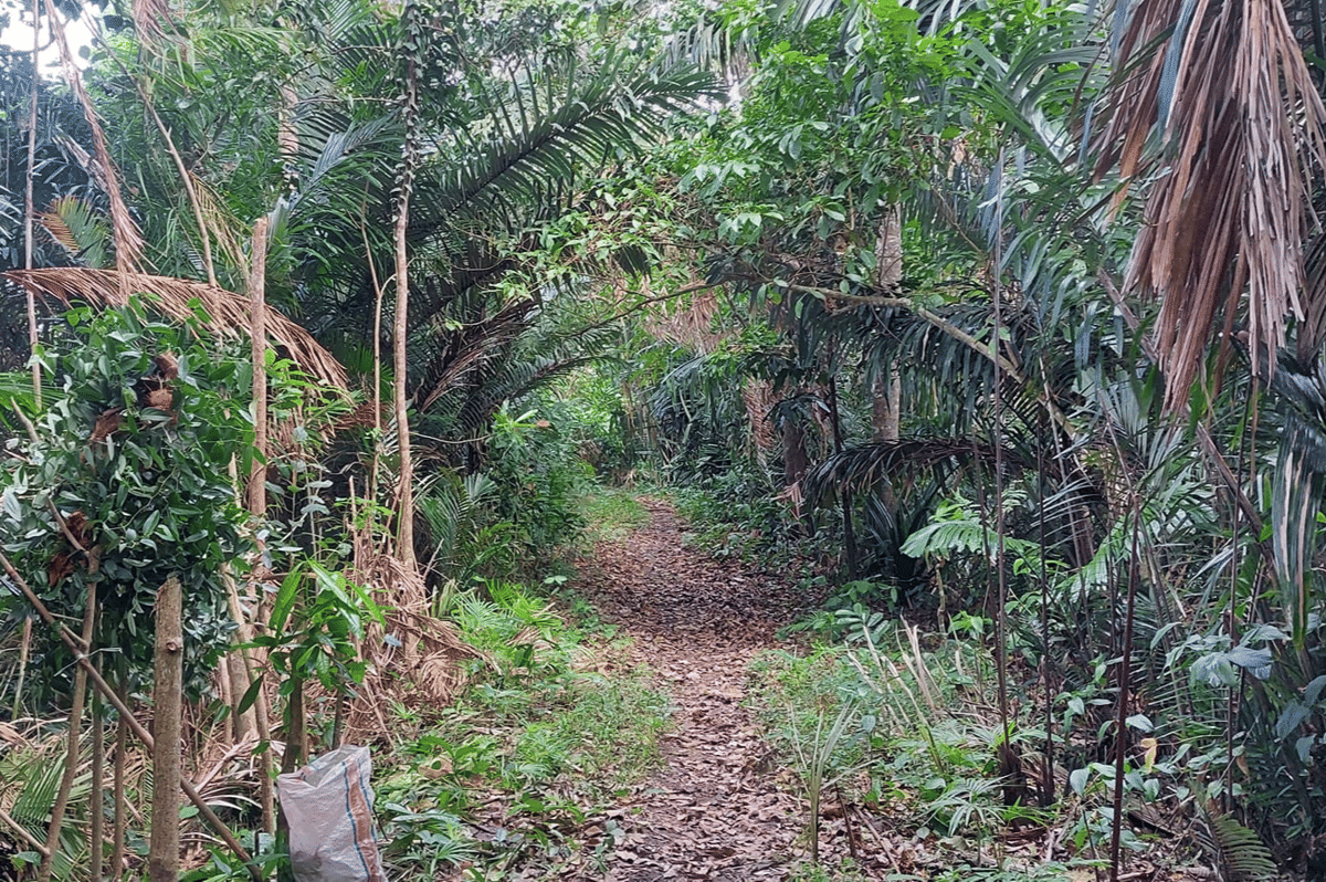 Pulau Nusakambangan