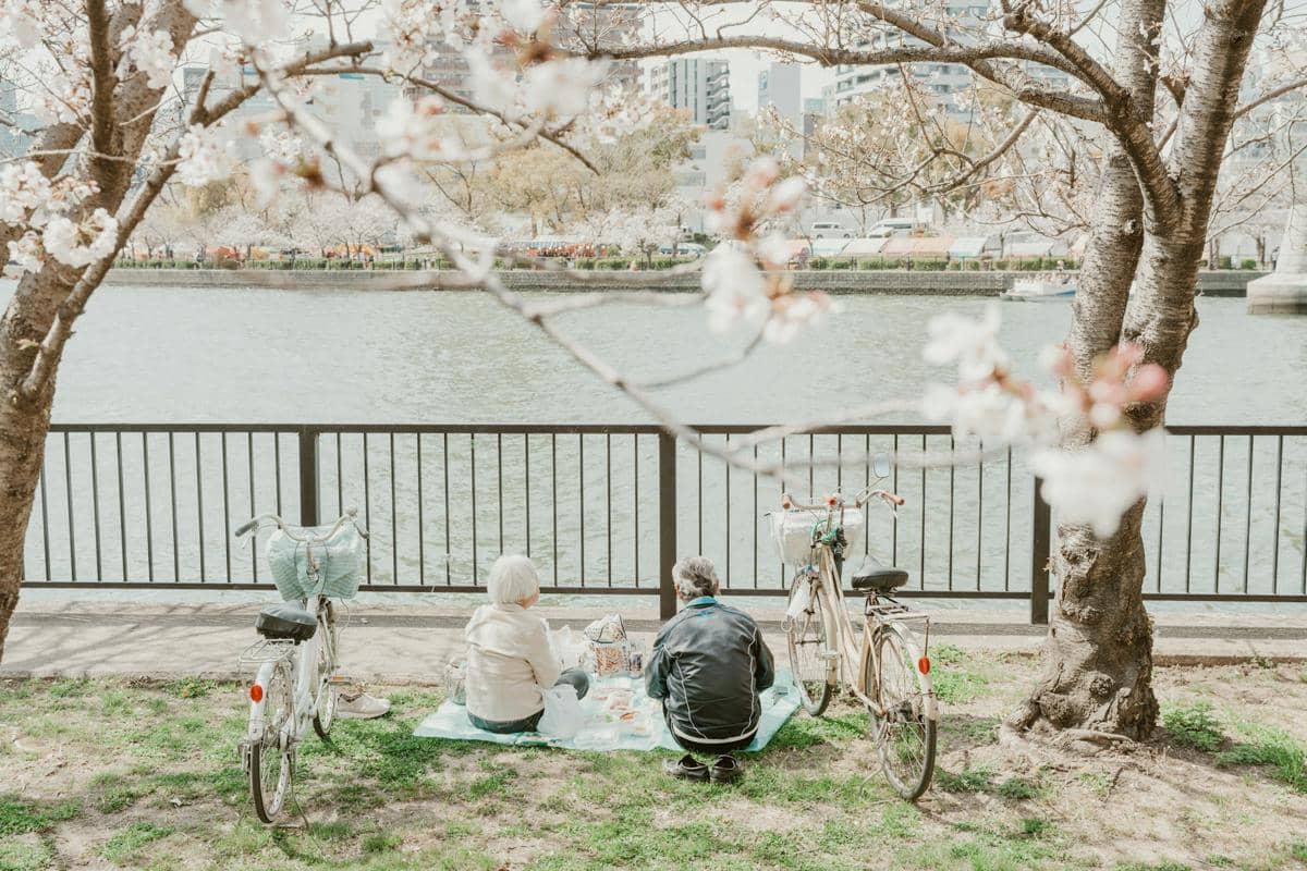 5 Aktivitas Seru saat Hanami selain Piknik, Kulineran!