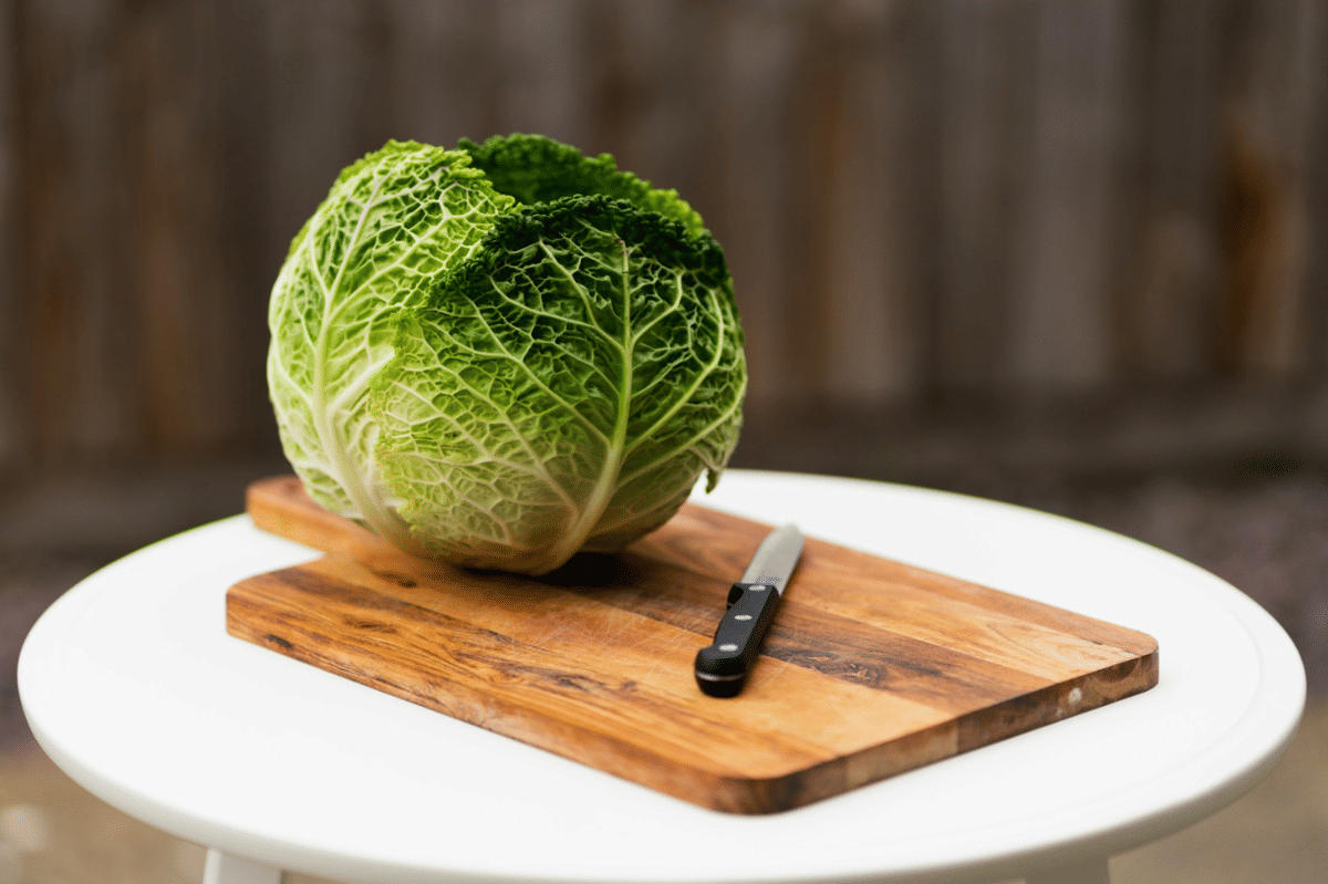 ilustrasi membuat baechu namul