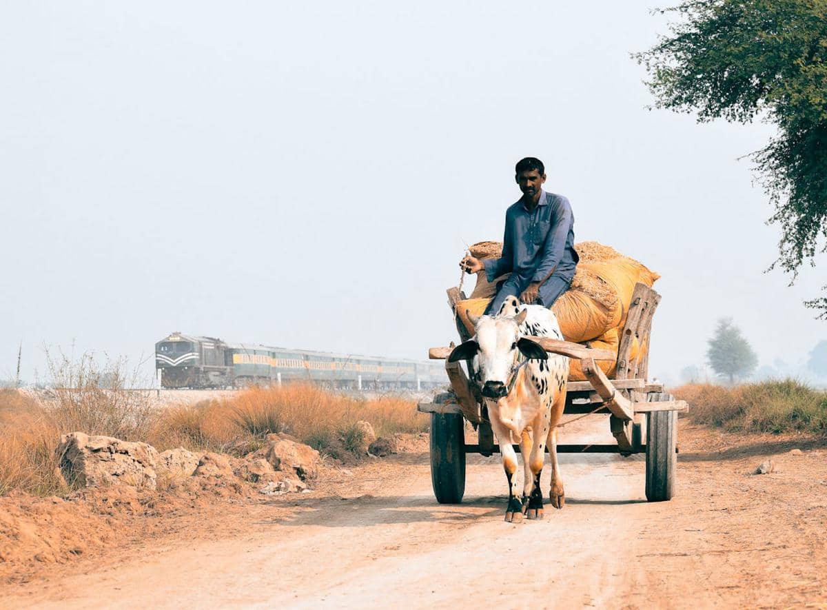ilustrasi penduduk lokal Pakistan