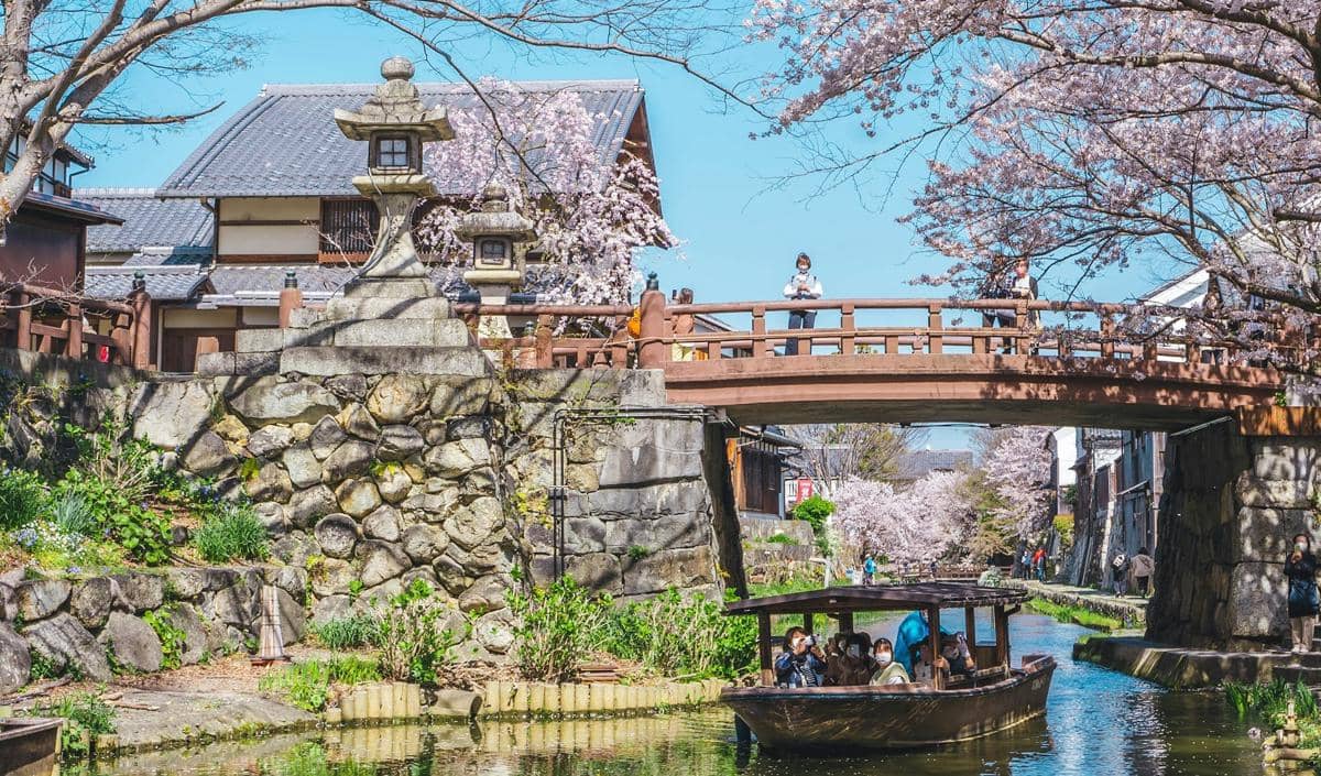 ilustrasi menyusuri sungai dengan kapal saat hanami 