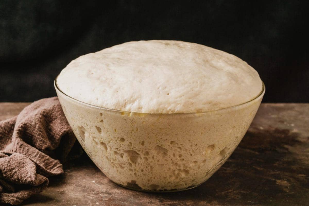 ilustrasi stater sourdough 