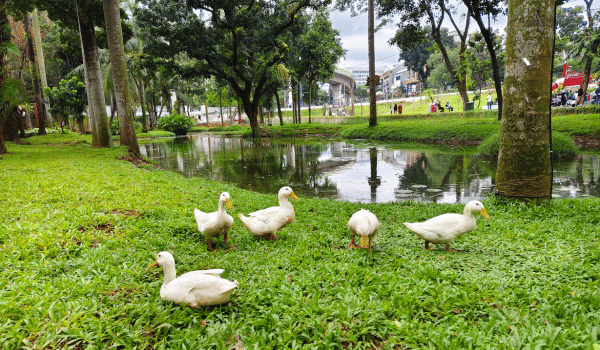 Taman Bendera Pusaka