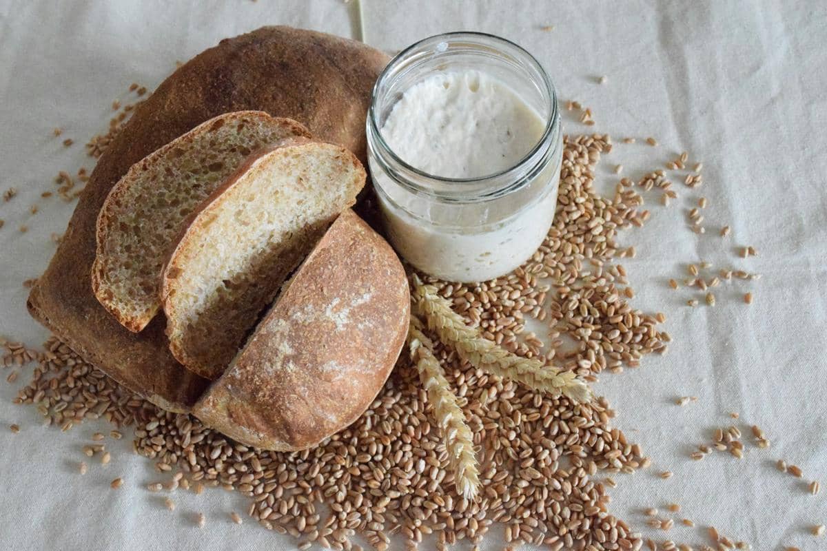 7 Cara Selamatkan Starter Sourdough yang Hampir Mati, Gak Perlu Panik!