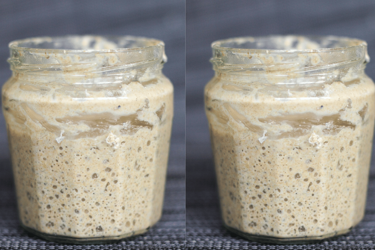 ilustrasi stater sourdough